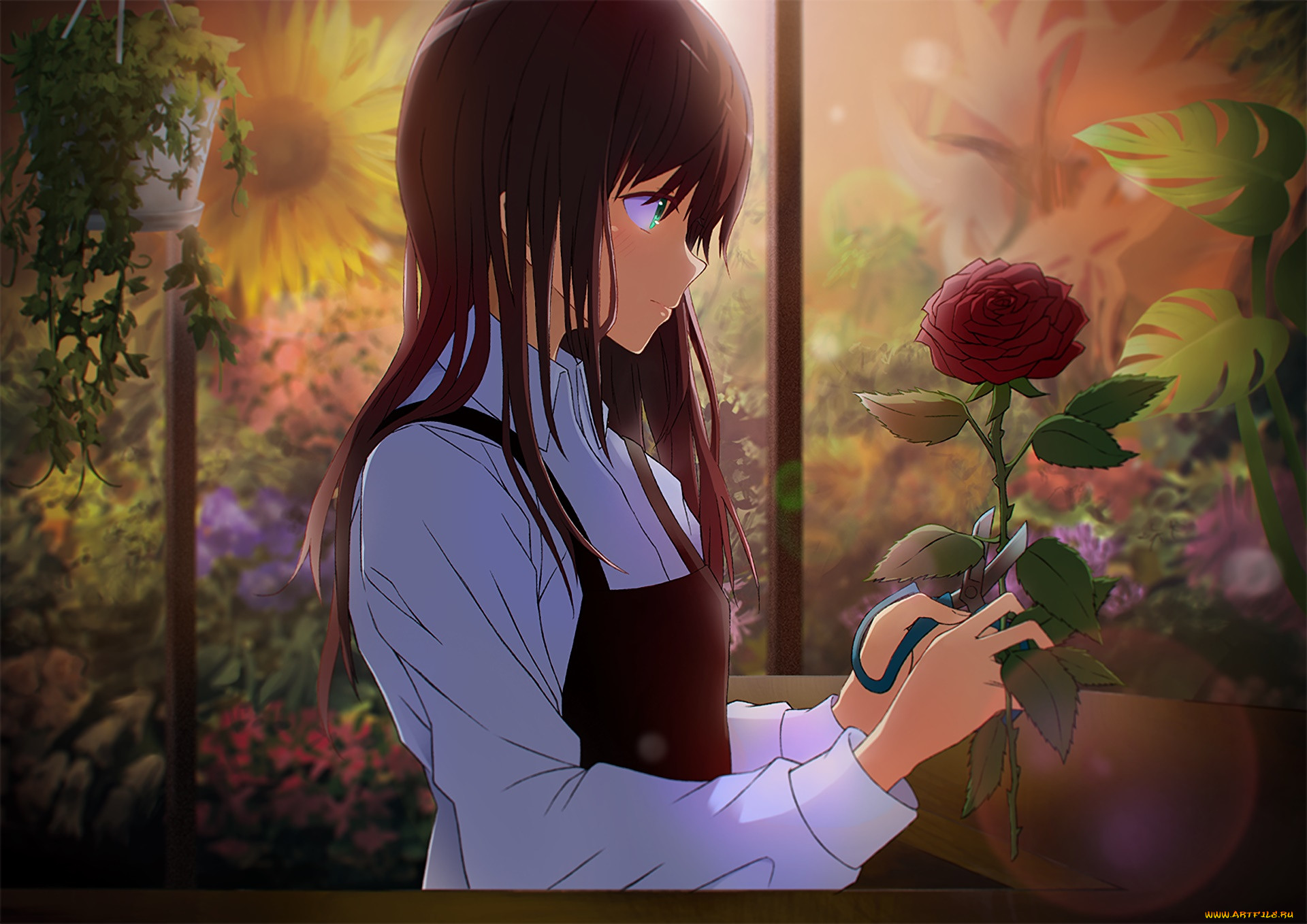 , unknown,  , , , 